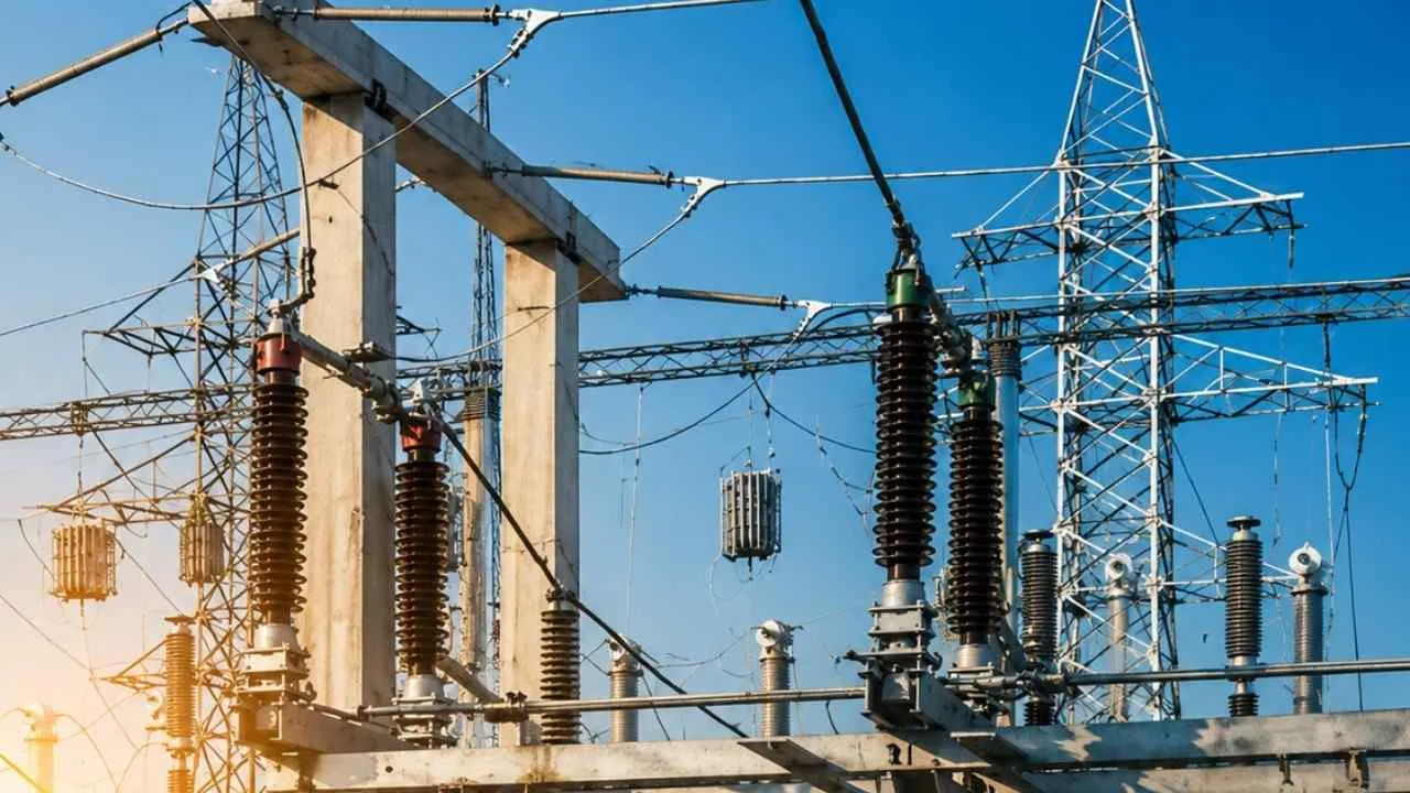 Discos Privatization Sparks New Investment Business Opportunities