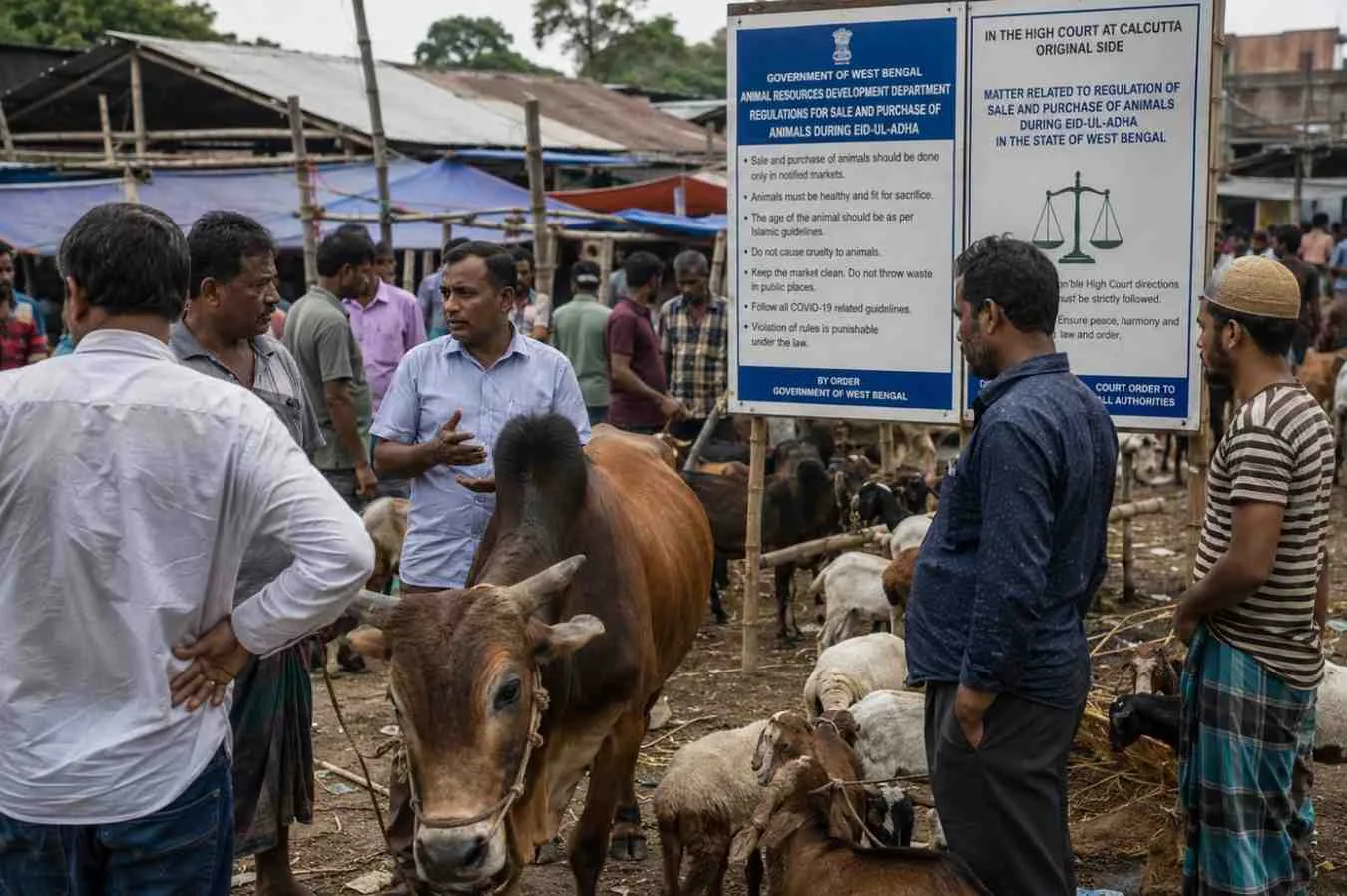 Why Muslims Refused to Buy Cows in West Bengal Before Eid 2026